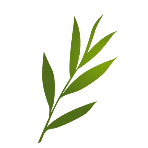 TW Leaf Logo 1