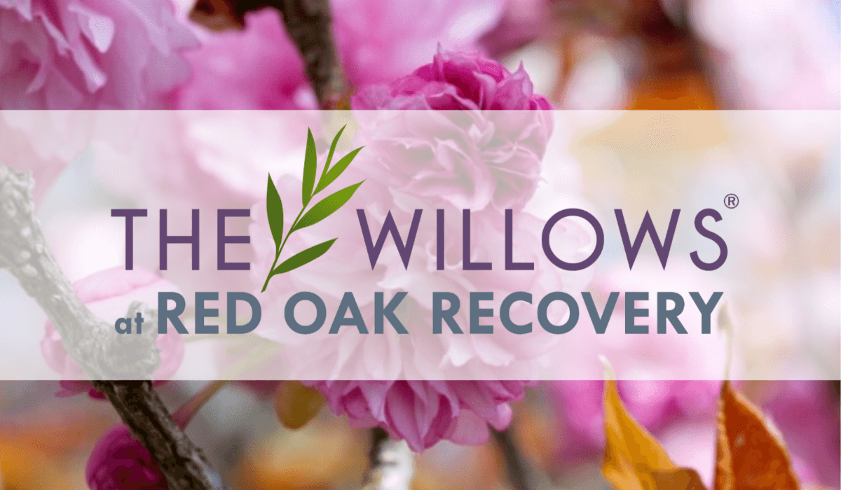 4 Year Anniversary Celebration for The Willows at Red Oak Recovery®