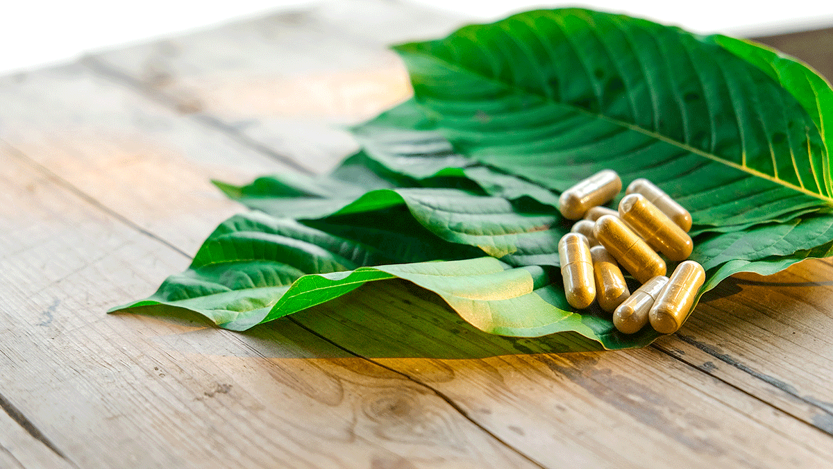 What Is Kratom, and Why Does It Concern People?