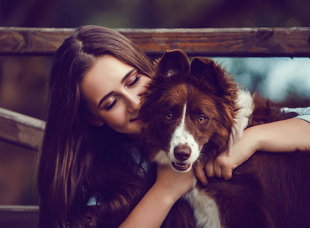 The Benefits of Animal Therapy